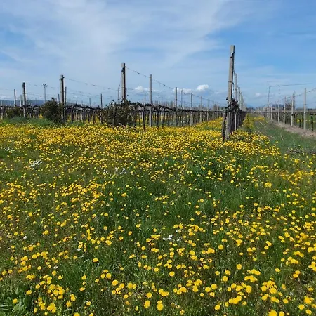 Landhuis Cascina Antonini *