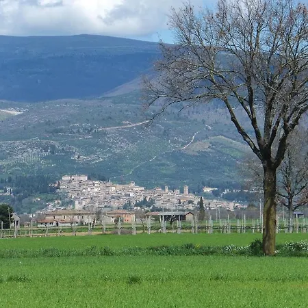 Cascina Antonini *