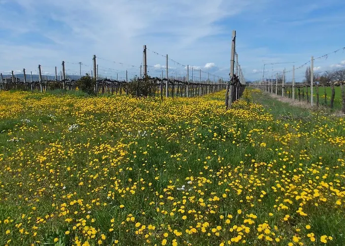 Casa rural Cascina Antonini *